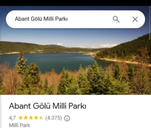 abant golu yorum ve puanlar