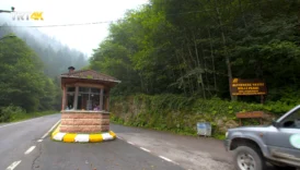 Altindere Vadisi Milli Parki 6