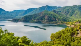 koycegiz ortaca dalaman 1 600x600